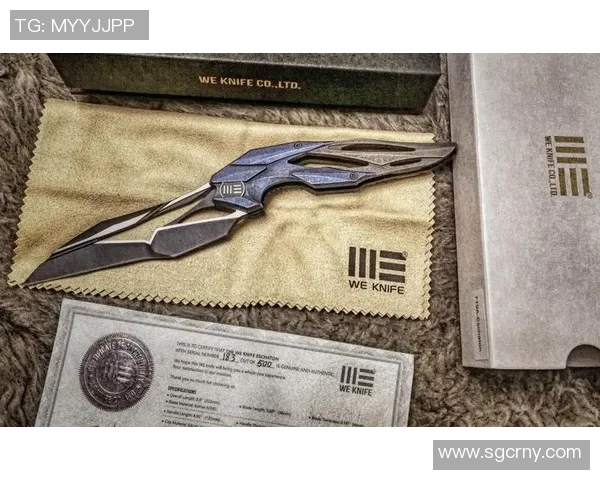 DOTA2战术WE的控制体系在S15LOL中的应用与影响分析 DOTA2战术WE的控制体系在S15LOL中的应用与影响分析